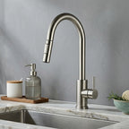 Robinet Mitigeur Cuisine Douchette — NORVIK Aqua