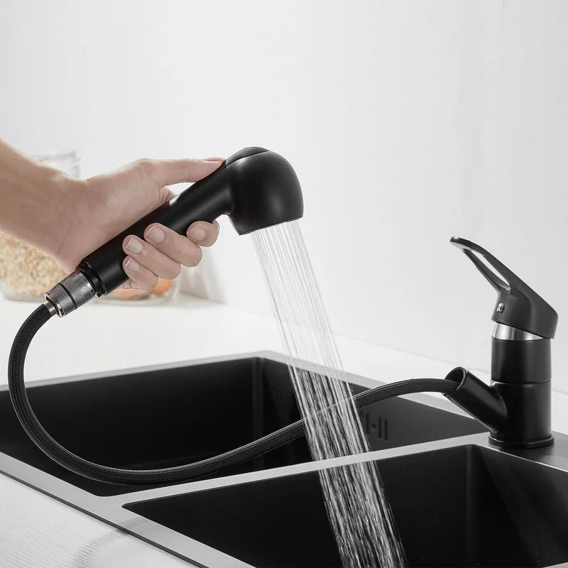 Robinet Mitigeur Cuisine Douchette — NORVIK Shadow